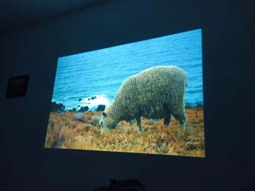 Customer photo review of MovieHub™ Deluxe bundle