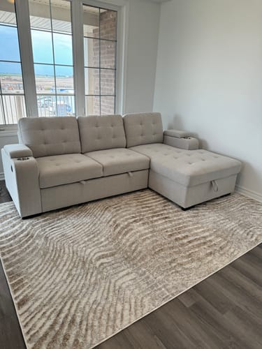 Customer photo review of Lennox Sleeper Sectional