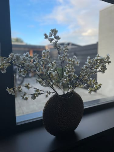 Patrick A. review of Zijden Bloesem - Wit (3stengels) image 1 out of 1