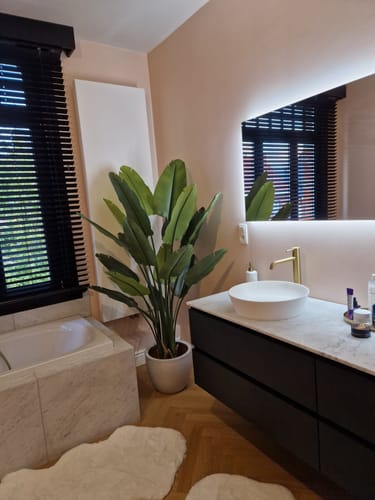 Customer photo review of Strelitzia Kunstplant 180cm (weekdeal)