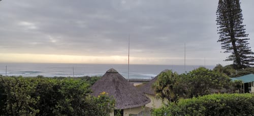 Customer photo review of Uric Acid Support