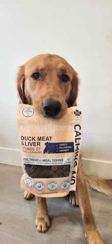 Customer photo review of Duck Calming Aid