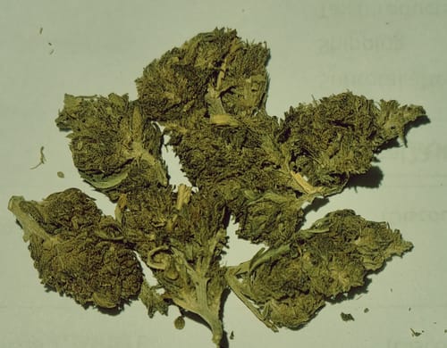 Customer photo review of Lotti in offerta 🤑🎁