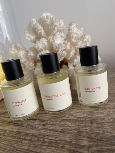 Customer photo review of Springtime Muse