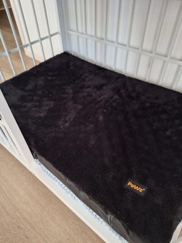 Customer photo review of Pawz Foldable Travel Dog Beds