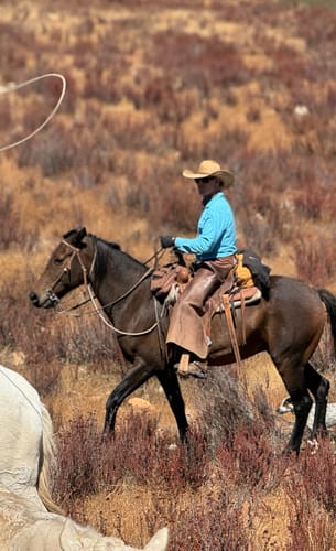 Customer photo review of The Brumby