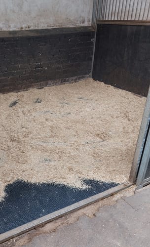 Kitty H. review of Rubber Stalmat Noddevelt PREMIUM 16mm (R16) - 100x100cm image 1 out of 1