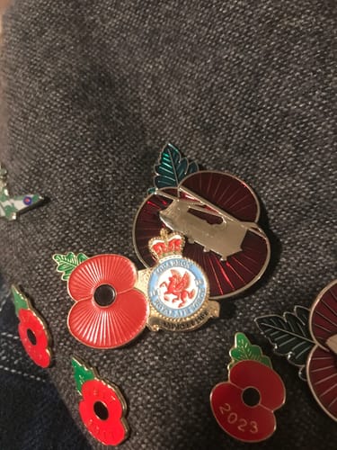 Marc review of Poppy Pin Badge Chinook image 1 out of 1