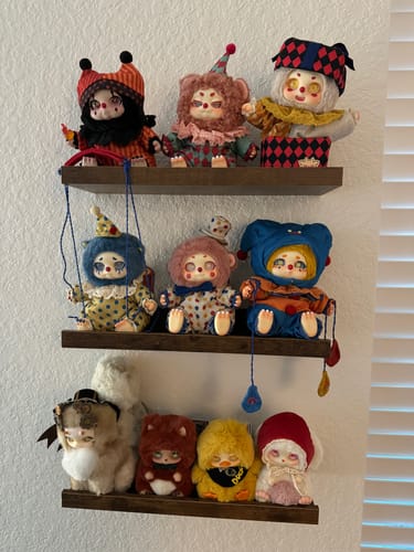 Customer photo review of Cino's Dreamland Circus Series Plush Blind Box