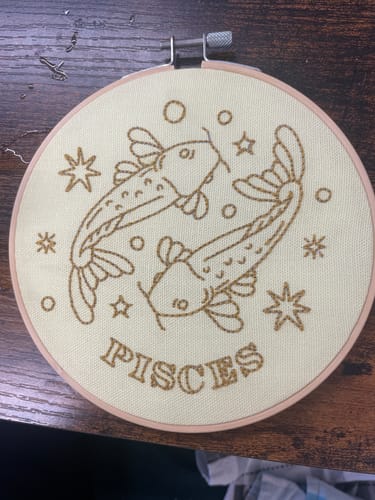 Customer photo review of Pisces Embroidery Hoop Kit