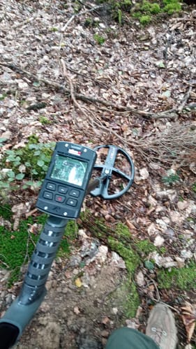 Customer photo review of XP Deus II RC mit GRATIS MI-6