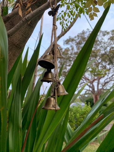 Customer photo review of Witches Bells Hanger