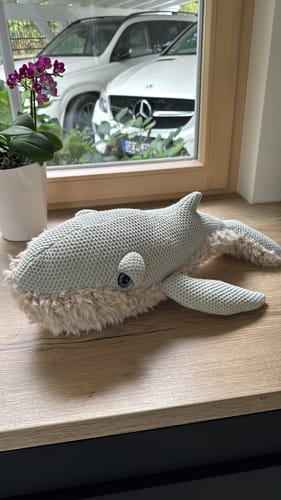 Customer photo review of The Whale