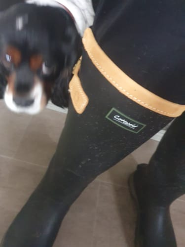 Customer photo review of Stratus Wellingtons Black