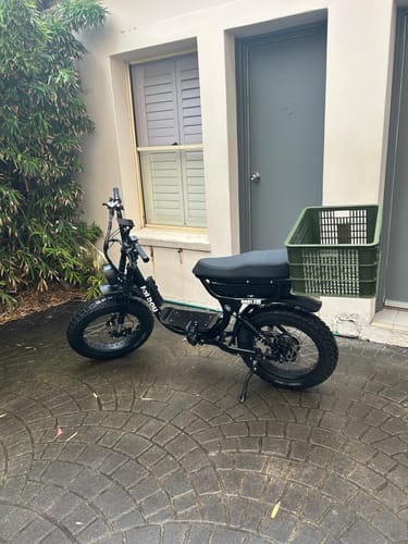 Customer photo review of The Harlem eBike