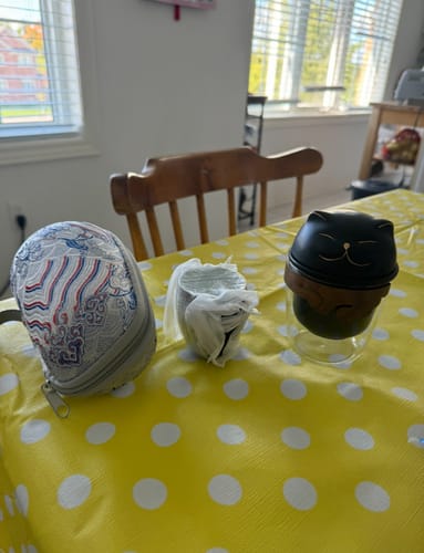 Customer photo review of Maneki Neko Fortune Cat Travel Tea Set