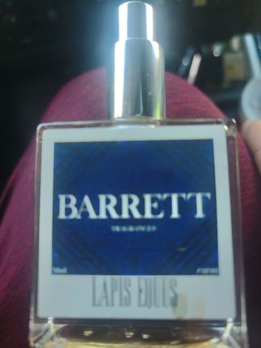 Customer photo review of Lapis Equus Inspired by Layton