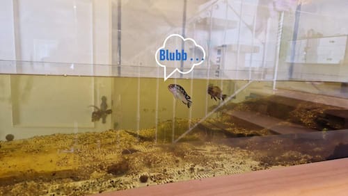 Customer photo review of Canvalight® Leuchtbild | Eigenes Motiv | Panorama