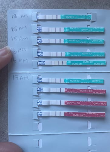 Customer photo review of Ovulation Test Strips