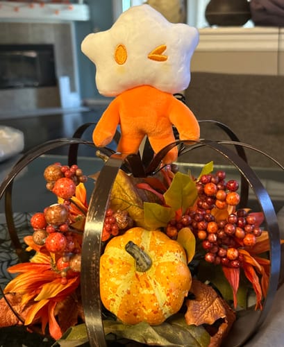 Customer photo review of Adopt a Star Baby Plush Blind Box