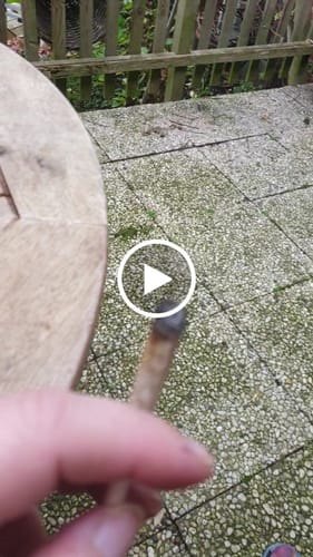 Customer video review of 🎁 FREE GIFT | Og Sour - CBD Blüte (100% off)