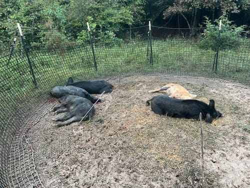 Customer photo review of Hardware Kit with Wolf Fang Anchors