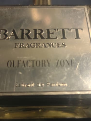 Customer photo review of Olfactory Zone Inspired by Aqua Di Gio Profumo
