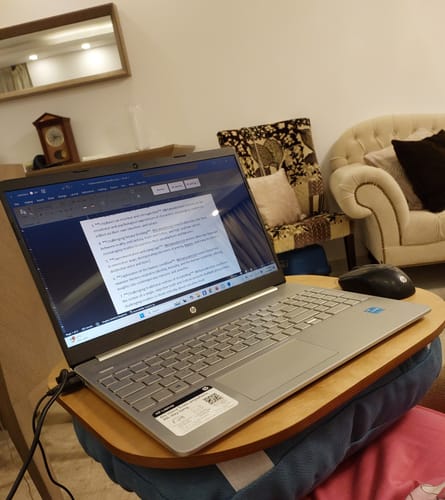 Customer photo review of Lazylap