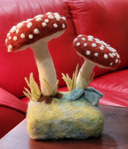 Customer photo review of Forest Toadstools Mini Needle Felting Kit