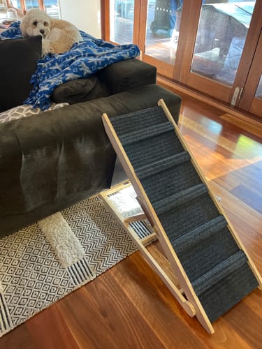 Customer photo review of Pawz Premium Wood Adjustable Height Pet Ramp Stair