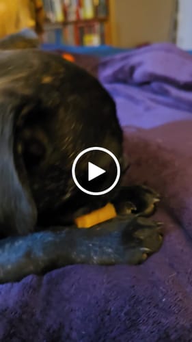 Customer video review of BANANA YAK CHEWS