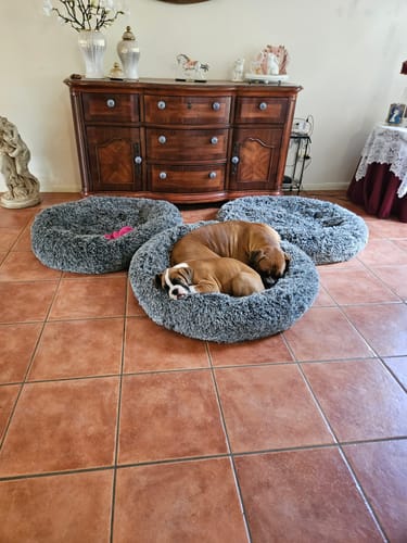 Customer photo review of Cover For PaWz Calming Pet Bed