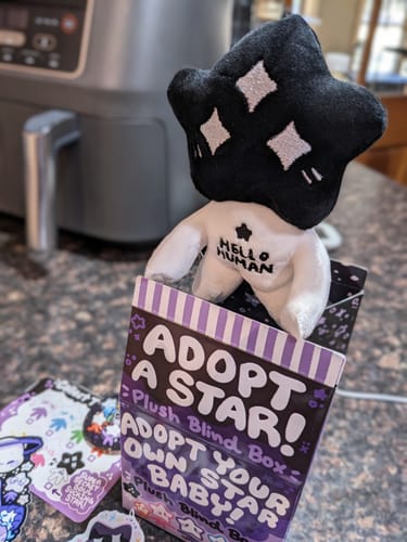 Customer photo review of Adopt a Star Baby Plush Blind Box