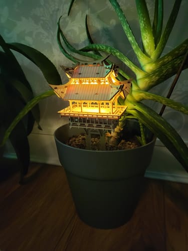 Customer photo review of Temple of Gratitude