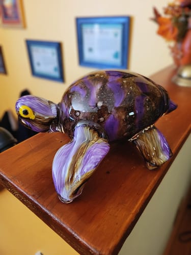 Customer photo review of Ed the Turtle