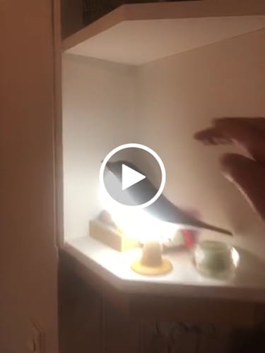 Customer video review of BirdZen - Lampe de Chevet