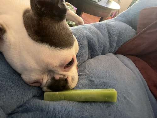 Customer photo review of MIX FLAVORED (strawberry, banana, mint, & blueberry): A PACK OF 4 STICKS