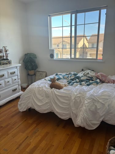 Customer photo review of Fairy Ruched Duvet Cover Set