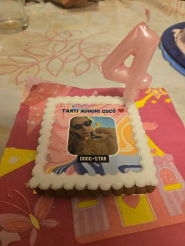 Customer photo review of Fotogenica Tortina Per Cani CON FOTO e MESSAGGIO