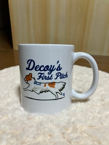 Customer photo review of Decoy's First Pitch Glossy Mug