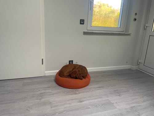 Customer photo review of Strotonin Dog Support