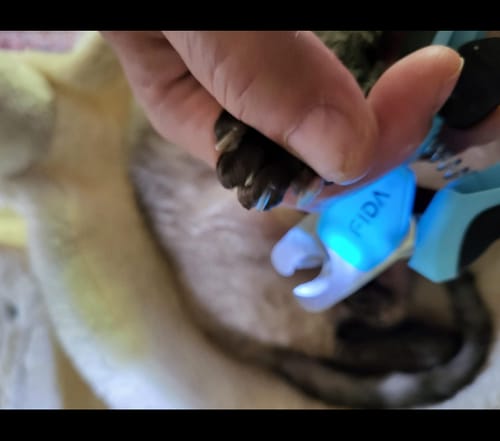 Customer photo review of FIDA Dog Nail Clippers with LED Light