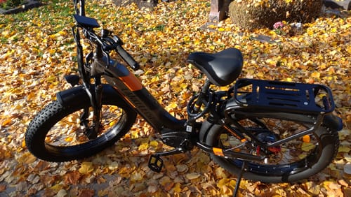 Customer photo review of Lankeleisi MG600 Plus 1000W Bafang Motor 26" Fat Bike All Terrain SUV E-Bike 48V 20Ah Samsung Battery