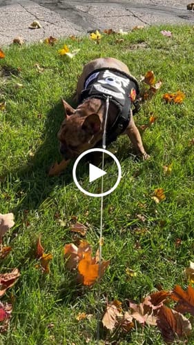 Customer video review of SPORT MODE ADD-ON