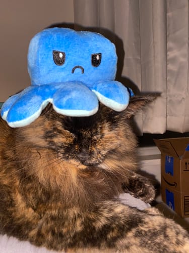Customer photo review of Reversible Mood Octopus Plush