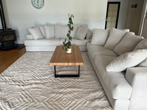 Customer photo review of Oasis Lulu Rug