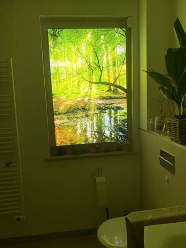 Customer photo review of Wechselmotiv | Wald mit Sonnenstrahlen | Hochformat