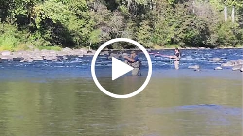 Customer video review of Silvertip Double Taper Fly Line