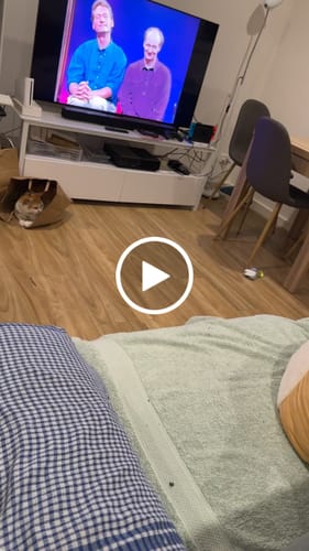 undefined review of TURBO TAIL 2.0 image 1 out of 1