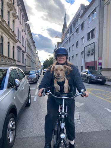 Customer photo review of Kvisp Dog Bike Carrier